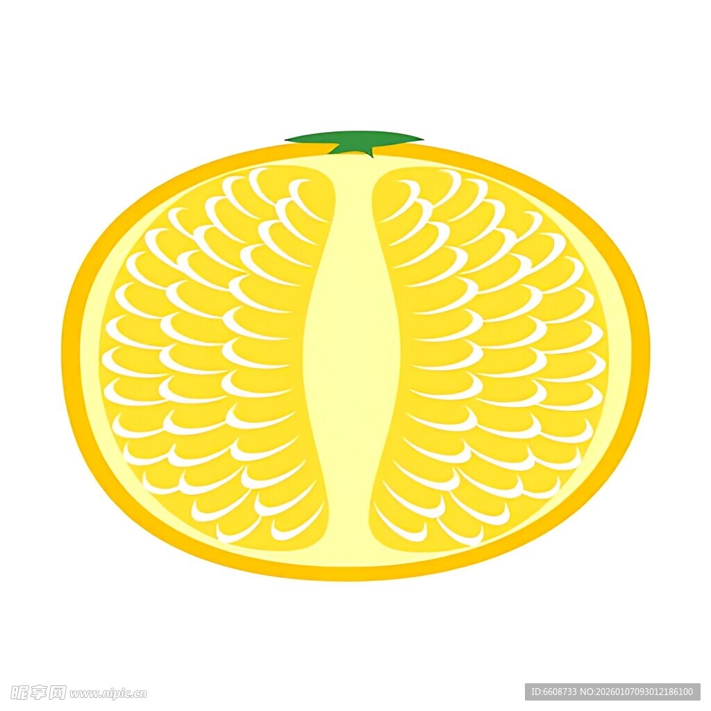 切开的黄色柑橘果实
