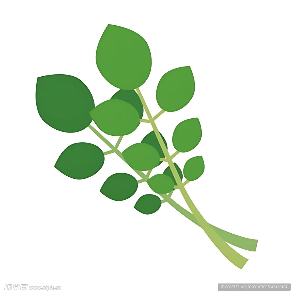 绿色植物枝叶插画
