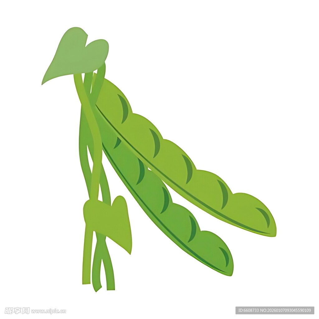 新鲜翠绿的豌豆荚