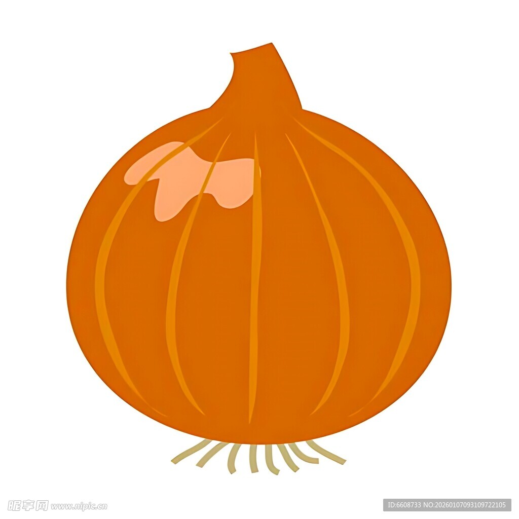 橙色洋葱插画