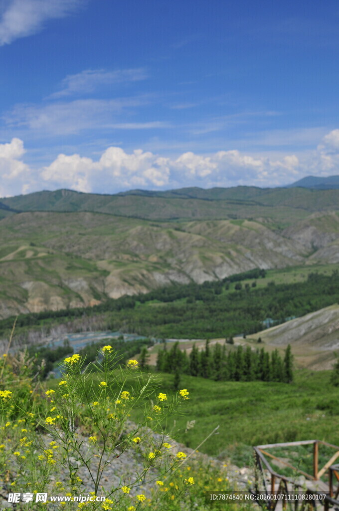 山间绿野繁花美景