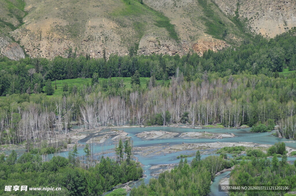 山间蓝湖与葱郁植被景观