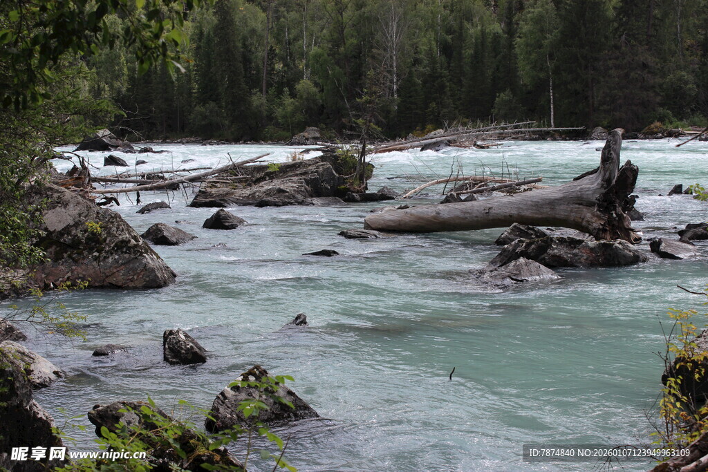 山间湍急溪流与枯木景观