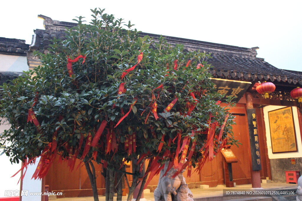 古宅旁系满红绸的祈福树
