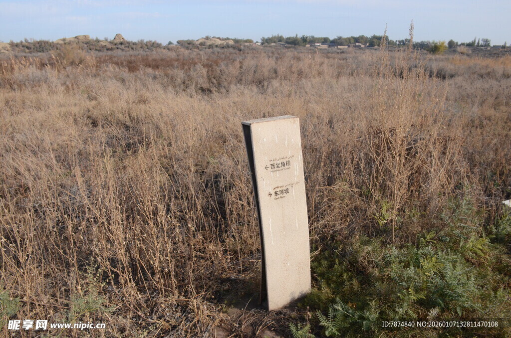 田野中的木质指示牌