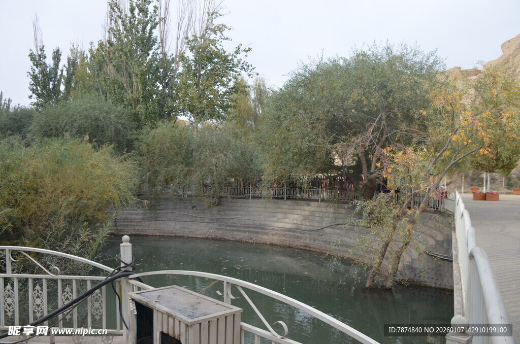 河畔木桥边的自然景致