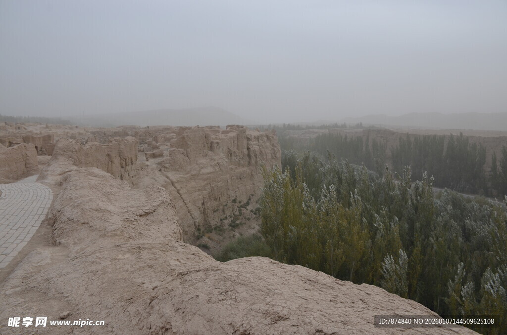 雾中崖边绿意景观