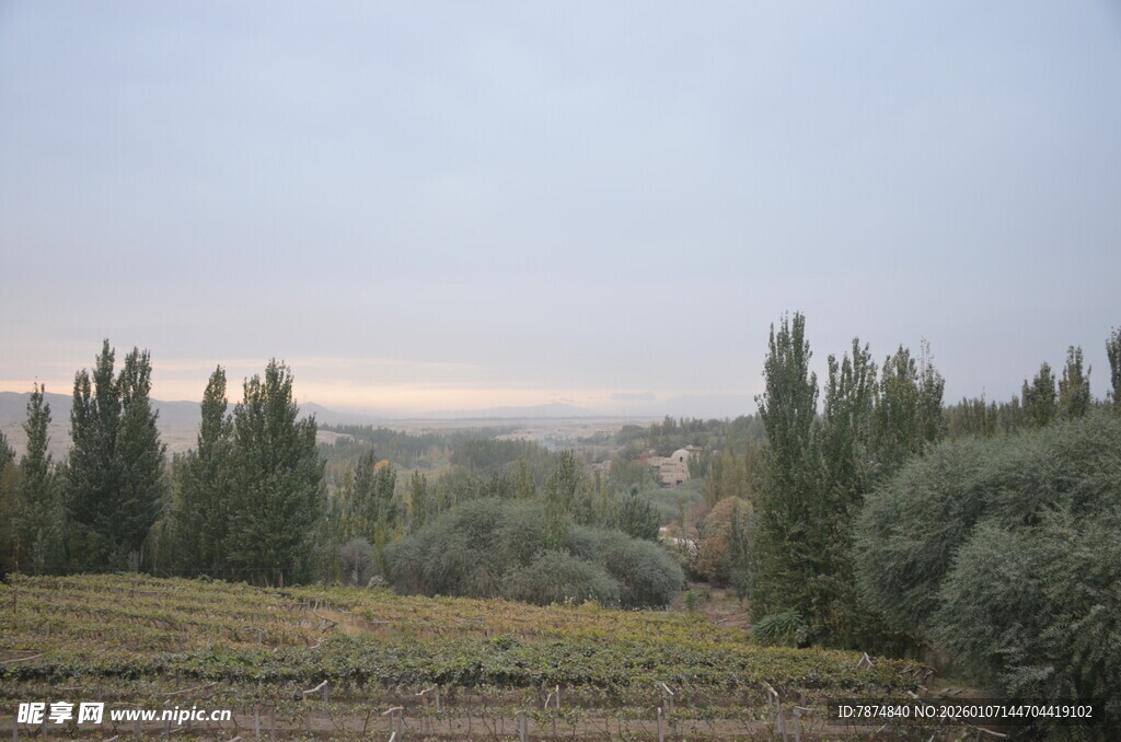 田园山林暮色景观