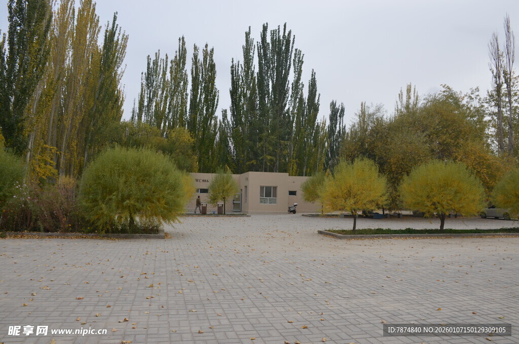 秋日湖边静谧小屋