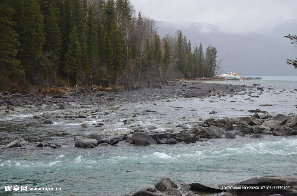 山间溪流旁的茂密树林
