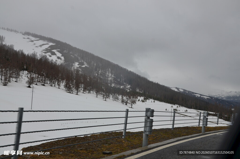 冬日公路旁的雪景风光
