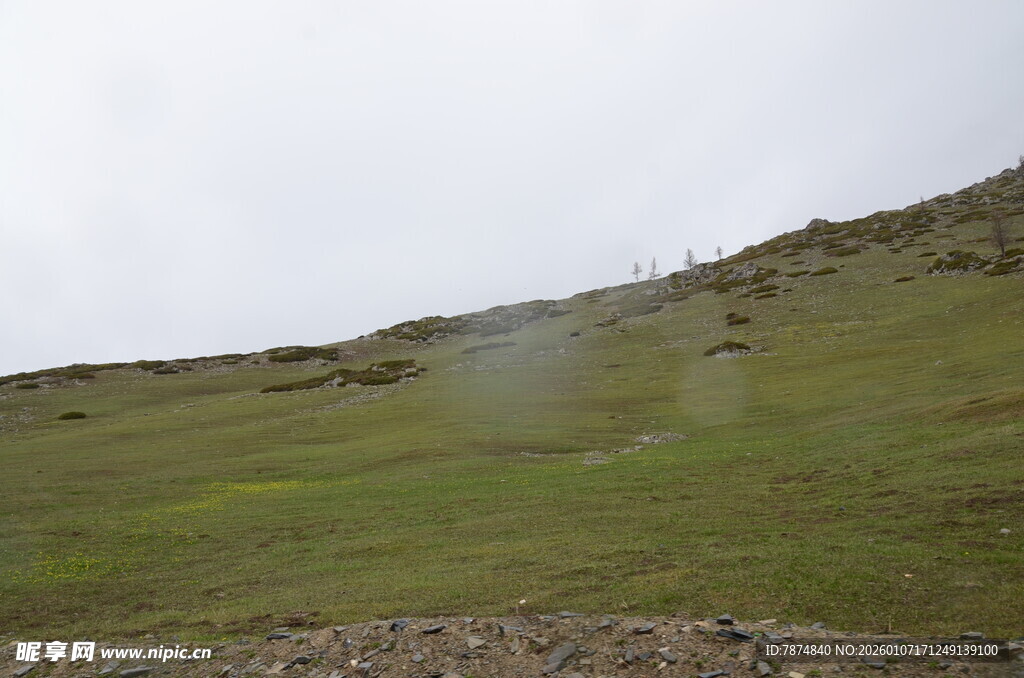 山间草地升腾的渺渺雾气