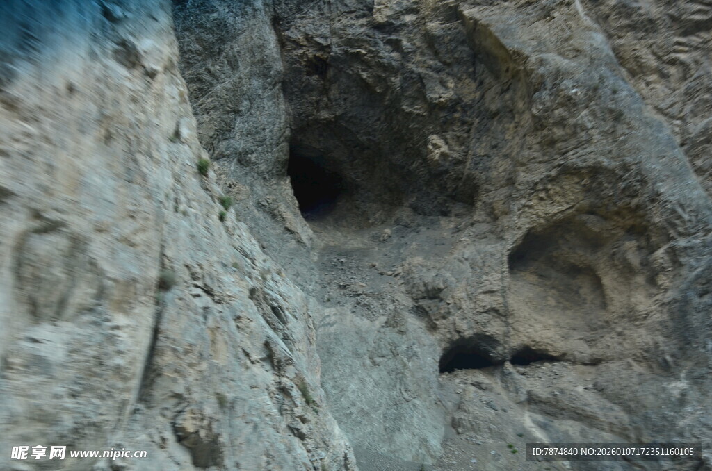 岩石上的洞穴与小动物