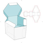 纸盒展开图设计示例