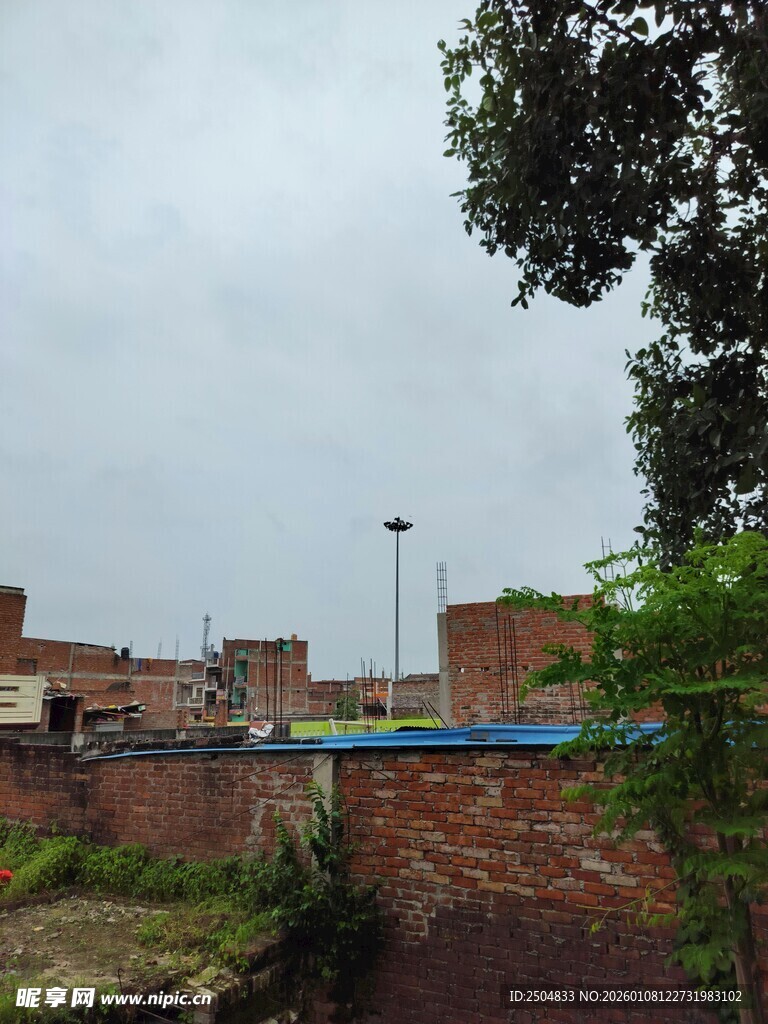 老旧建筑旁的绿植景观