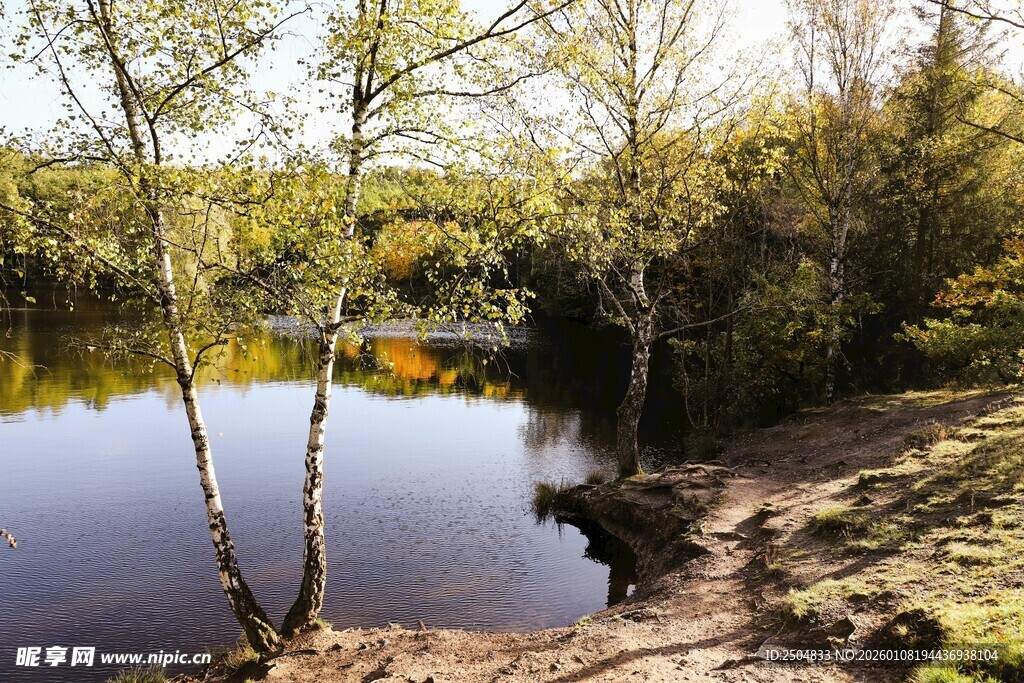 宁静湖畔的自然景致