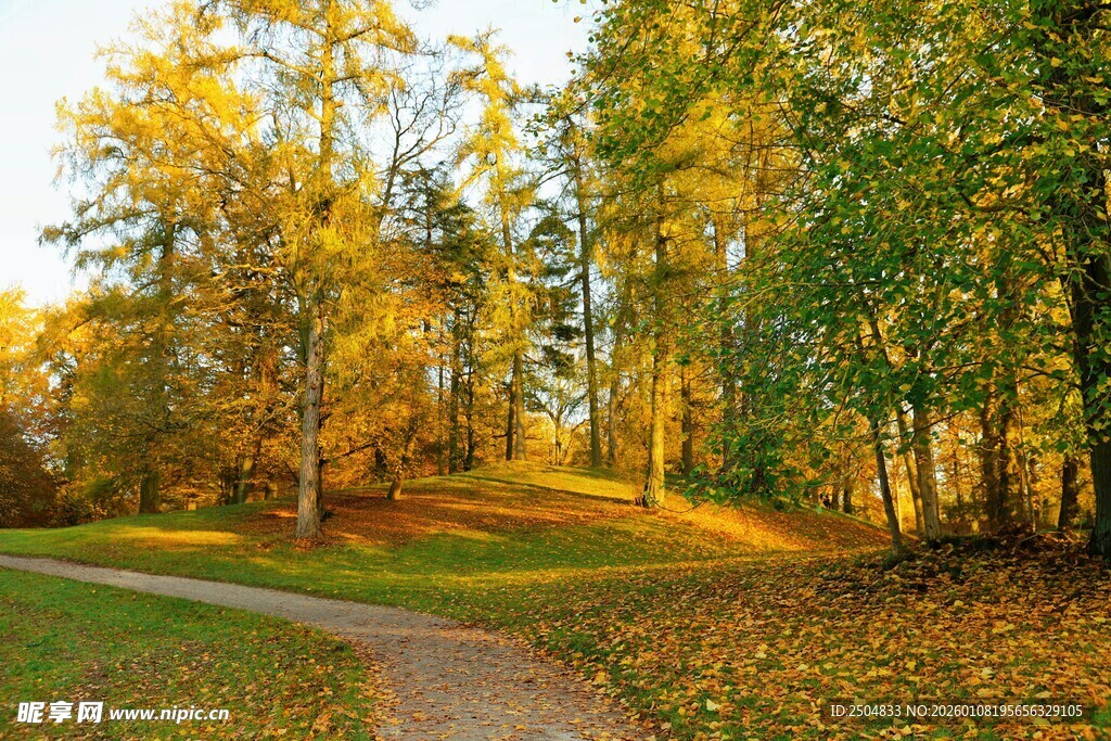 秋日林间小径美景