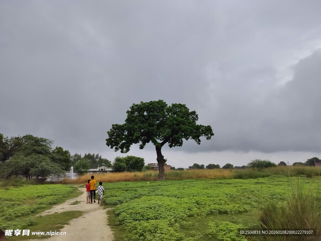 草原漫步 大树下的惬意时光