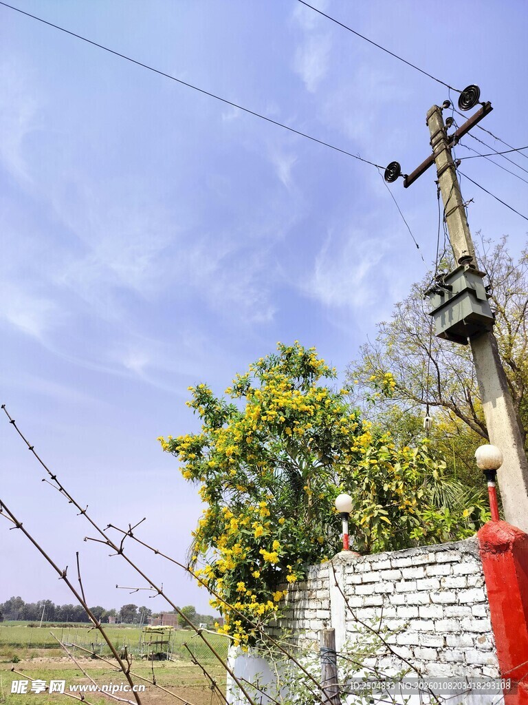 乡村户外的电线与电杆