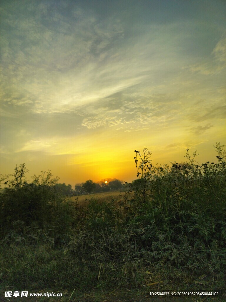 日落时分的田野风光