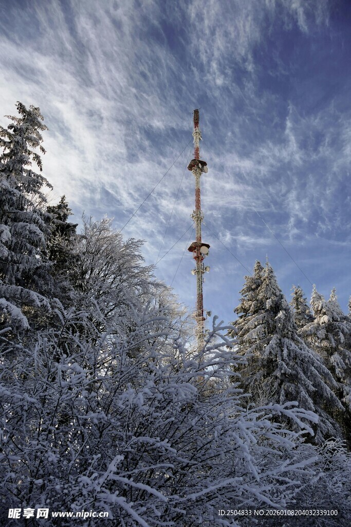 雪后森林中的高耸通信塔