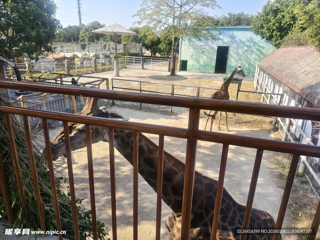 户外铁栏杆围起的场地