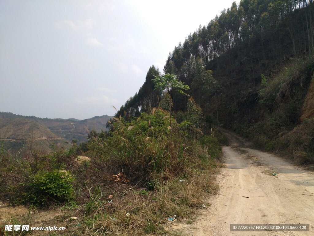 山间土路 自然野趣风光