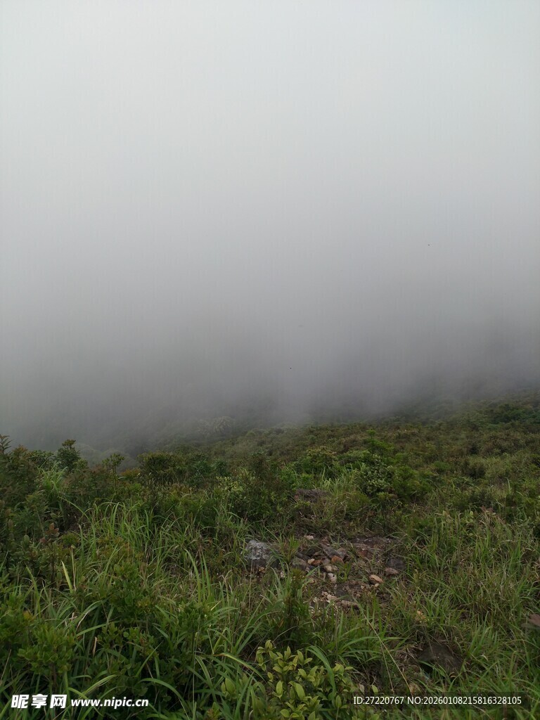 山间云雾缭绕的草地