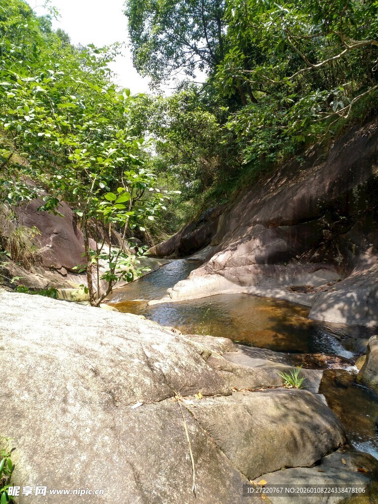 山间溪流 绿意盎然的景致