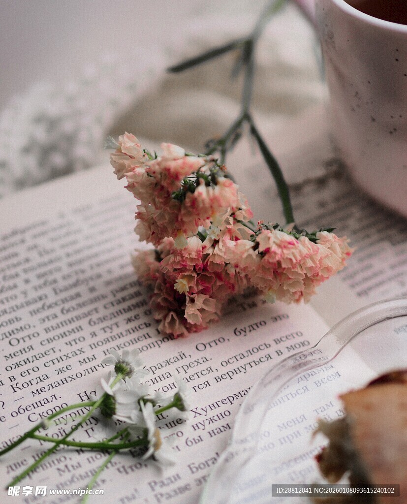 书本上的精致花卉静物