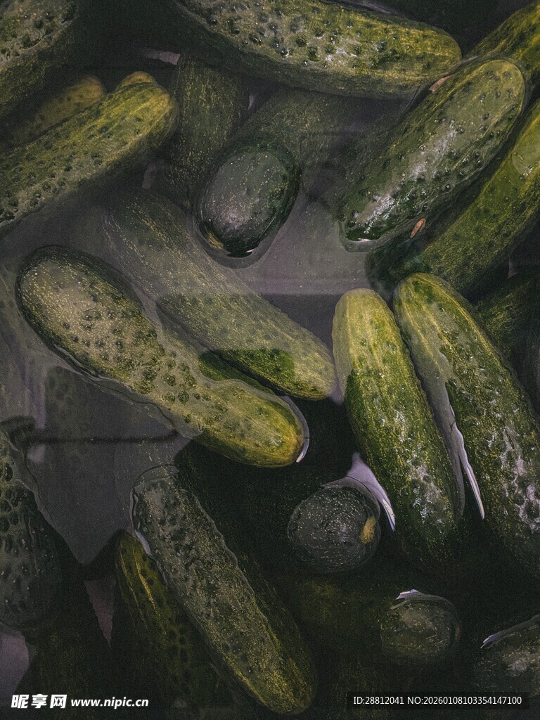 水中鲜黄瓜