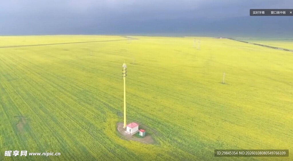 广袤绿野中的孤独设施