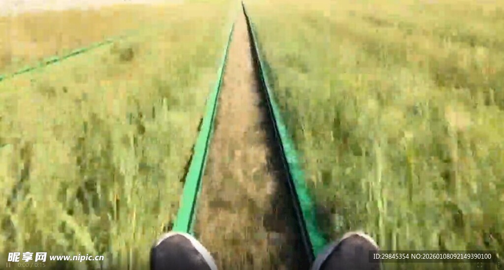 漫步麦田中的惬意视角