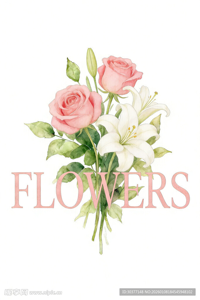 手绘粉色白色花卉组合