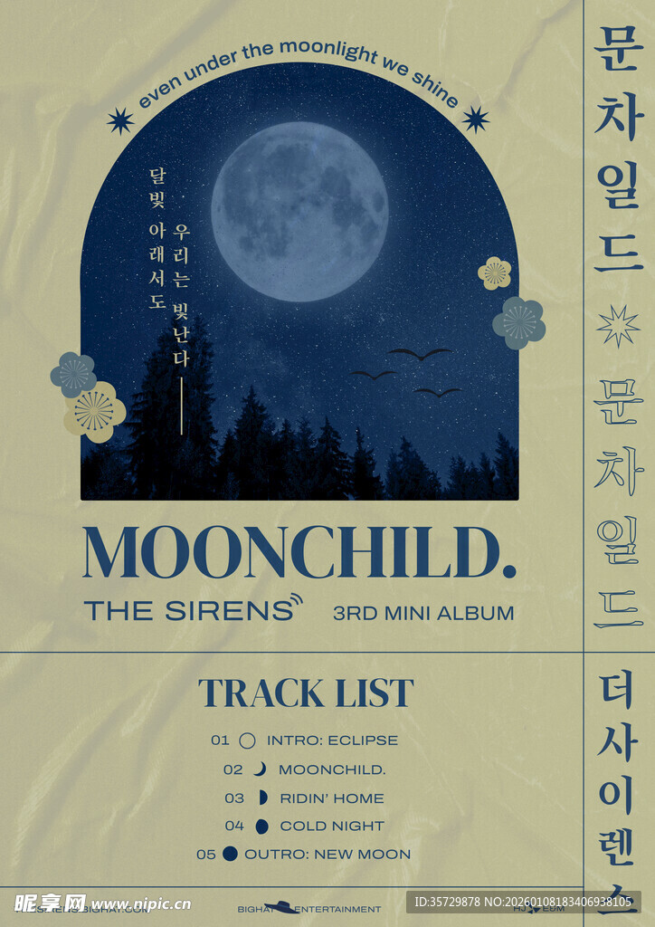 梦幻月夜下的海报