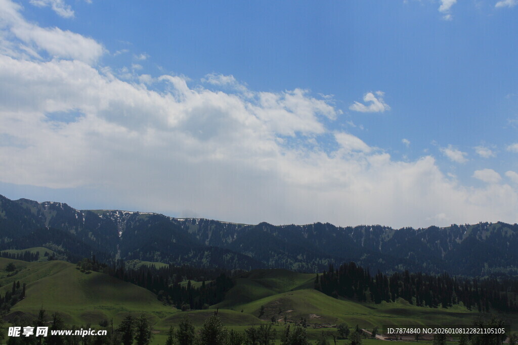 蓝天白云下的绿野风光