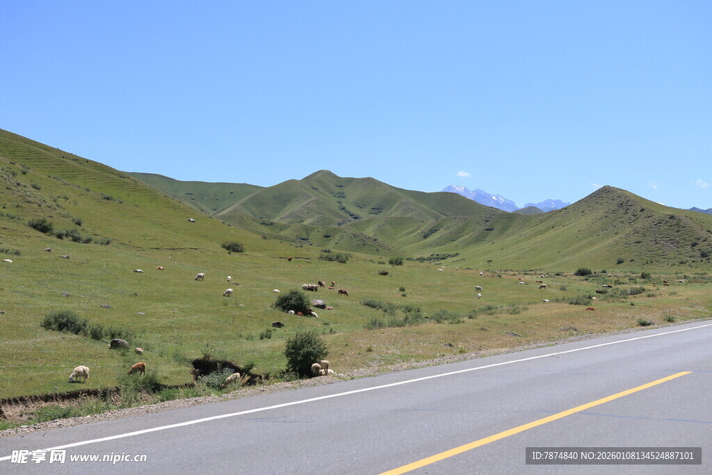 公路穿行于绿意盎然山间