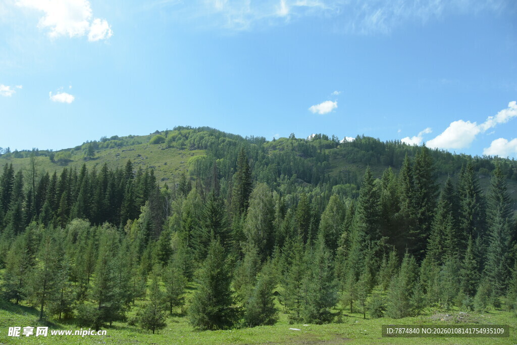 山林美景 绿意盎然的风光
