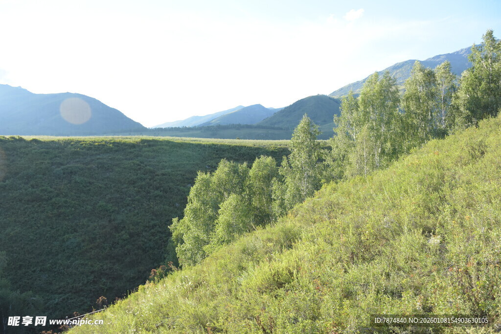 山间绿意盎然的自然景致