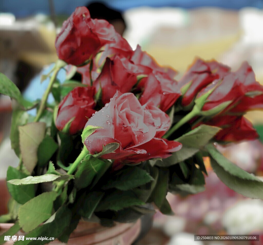 娇艳欲滴的红色花束