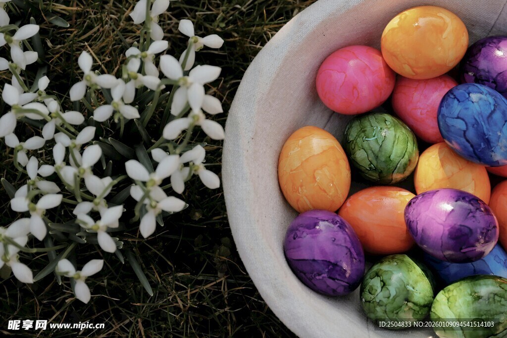 彩色彩蛋与白色小花组合