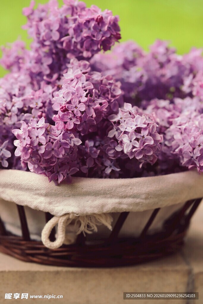 篮子里的紫丁香花束