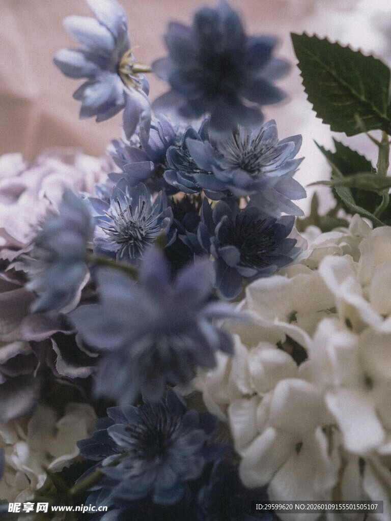 蓝白花卉组合特写