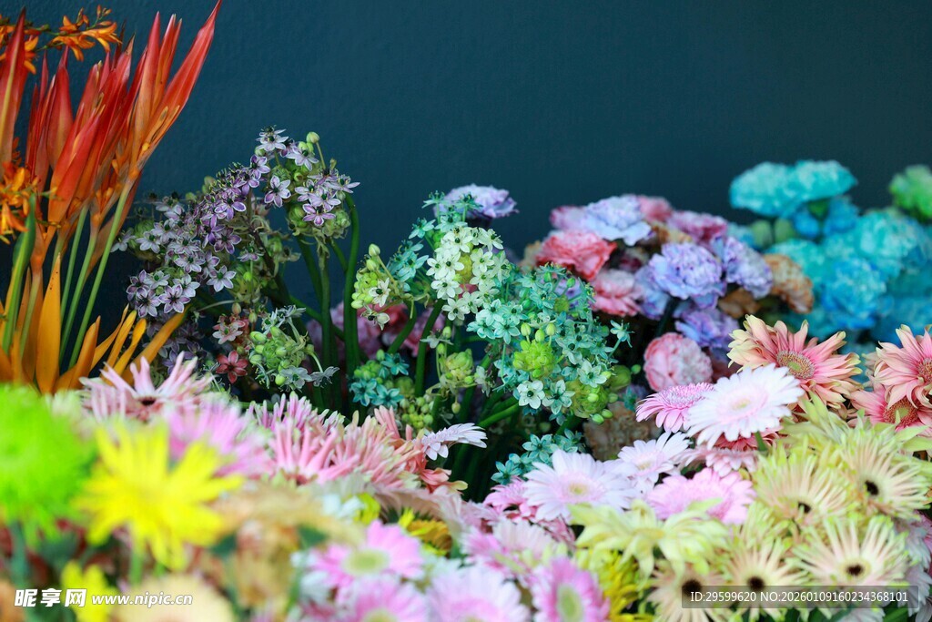 缤纷多彩花卉组合