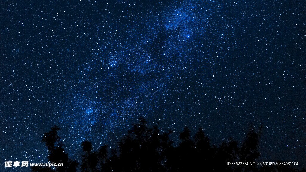夜空繁星下的树木剪影
