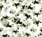 抽象黑白纹理图案