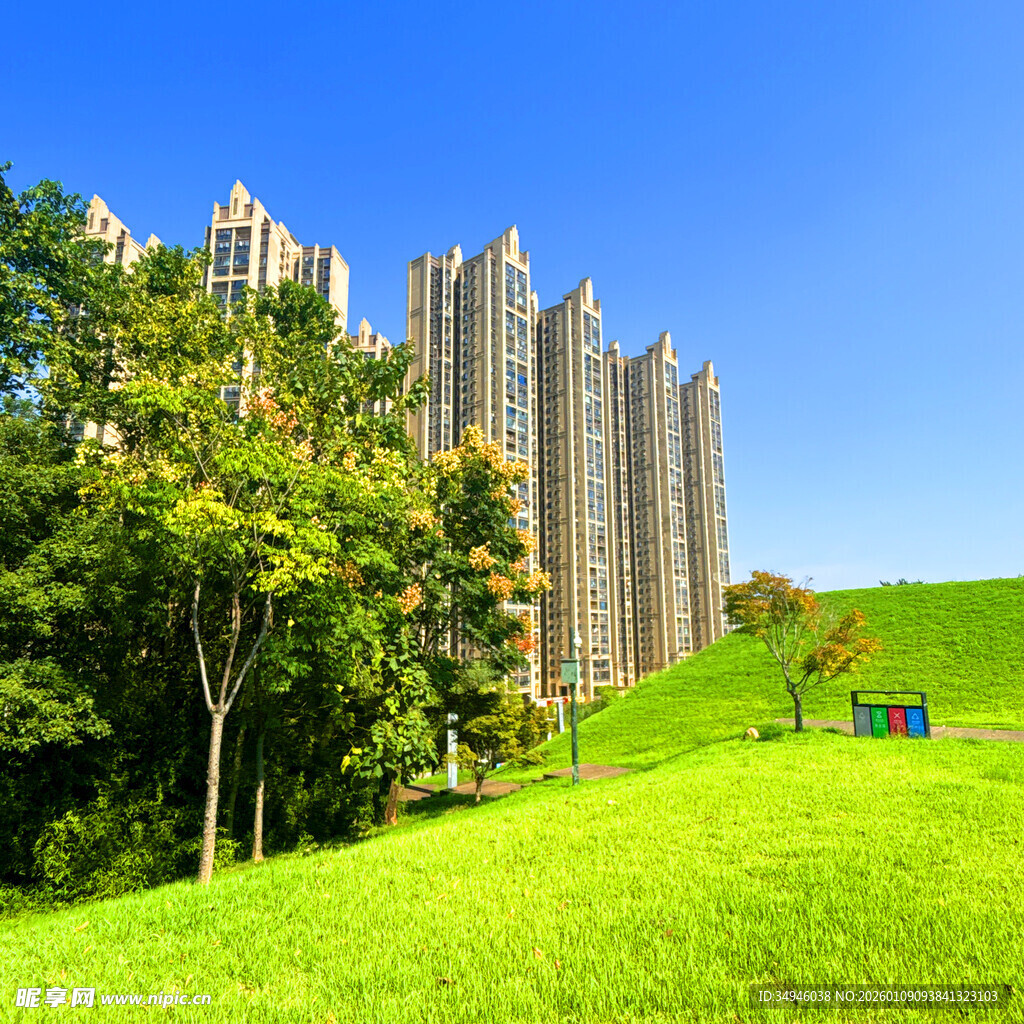 城市中的绿地与高楼景观