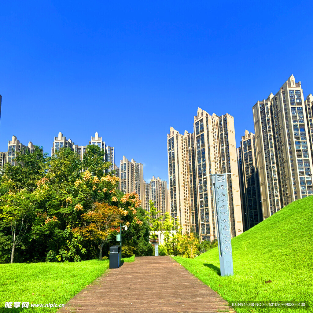 城市中的绿地与高楼景观