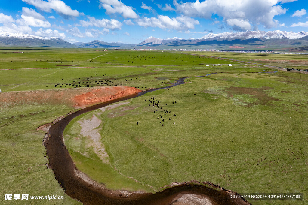 亚洲中国青海玉树治多草原牧场