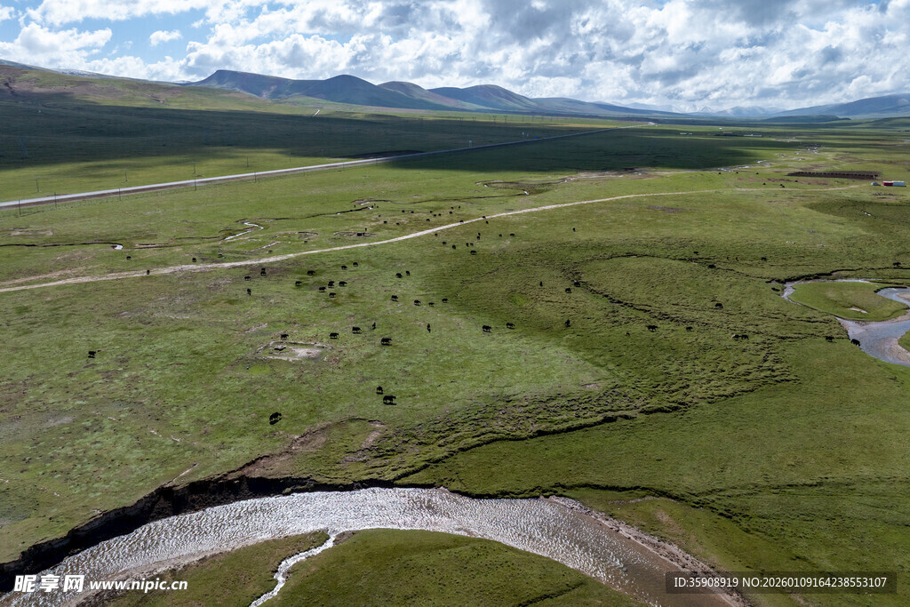 亚洲中国青海玉树治多草原牧场